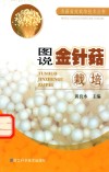 图说金针菇栽培