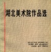 湖北美术院作品选