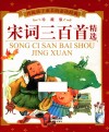 伴随孩子成长的必读经典  宋词三百首精选  珍藏版
