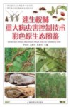 速生桉林重大病虫害控制技术彩色原生态图鉴