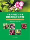 宁夏灵武园艺试验场果树种质资源图集