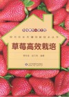 科技惠农一号工程  草莓高效栽培