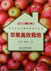 科技惠农一号工程  苹果高效栽培