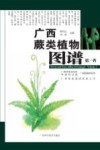 广西蕨类植物图谱  第1卷