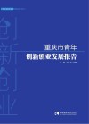 重庆市青年创新创业发展报告 封面