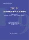 湖南现代农业产业发展报告  2019