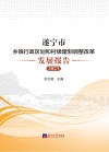 遂宁市乡镇行政区划和村级建制调整改革发展报告  2021