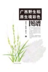 广西野生稻原生境彩色图谱