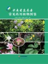 云南省孟连县常见药用植物图鉴