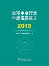 全球水电行业年度发展报告  2019