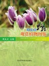 河北省野生观赏植物图鉴