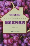 科技惠农一号工程  葡萄高效栽培