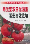 寿光菜农日光温室番茄高效栽培