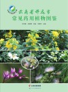 云南省开远市常见药用植物图鉴