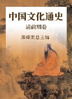 中国文化通史  清前期卷