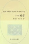陕西农村同步推进农业现代化十村观察