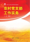 农村党支部工作实务