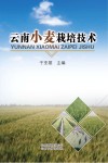 云南小麦栽培技术