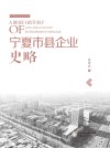 宁夏市县企业史略 封面