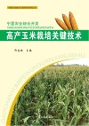 高产玉米栽培关键技术