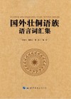国外壮侗语族语言词汇集 电子书封面