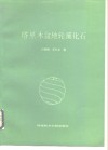 塔里木盆地轮藻化石