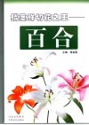 鳞茎鲜切花之王-百合
