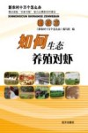 如何生态养殖对虾封面