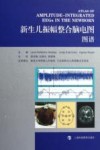 新生儿振幅整合脑电图图谱
