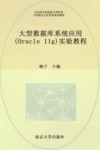 大型数据库系统应用实验教程