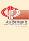 我国税收风险研究