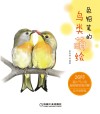 色铅笔的鸟类萌绘 电子书封面