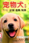 宠物犬  识别  选购  饲养