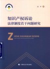 知识产权诉讼法律制度若干问题研究