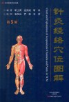 名医世纪传媒  针灸经络穴位图解  第5版