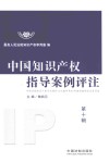 中国知识产权指导案例评注  中国法院知识产权司法保护10大案件和50件典型案例全文及评术  第10辑