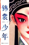 锦裳少年 封面