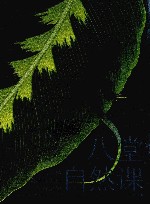 八堂自然课  大自然教给我们的生存之道