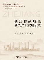 浙江省战略性新兴产业发展研究