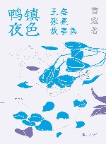 鸭镇夜色  王奎张亮故事集 封面
