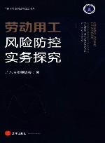 劳动用工风险防控实务探究 封面