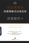 开设赌场罪类案释解与法律实务 封面