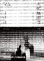 人的局限性  约翰生作品集 封面