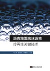 沥青路面泡沫沥青冷再生关键技术