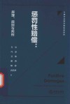 小城文丛民法典实务系列  惩罚性赔偿  原理规则与判例