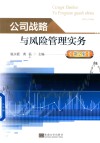 公司战略与风险管理实务  第2版