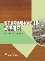 膜下滴灌土壤水盐热运移规律研究