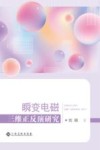 瞬变电磁三维正反演研究封面