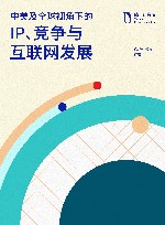 中美及全球视角下的IP、竞争与互联网发展