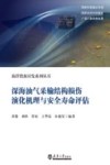 深海油气采输结构损伤演化机理与安全寿命评估